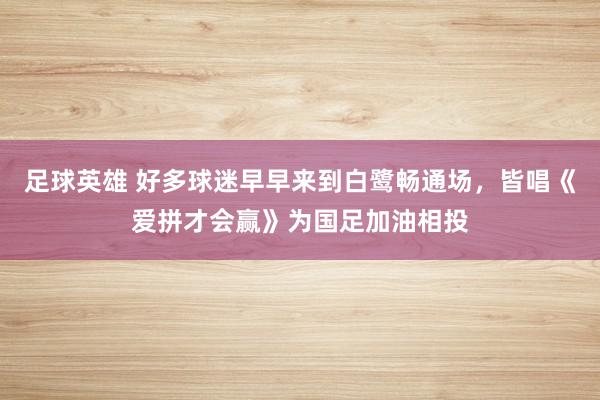 足球英雄 好多球迷早早来到白鹭畅通场，皆唱《爱拼才会赢》为国足加油相投