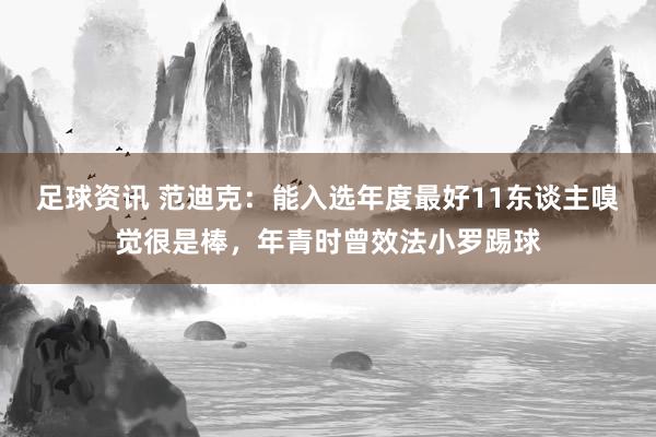 足球资讯 范迪克：能入选年度最好11东谈主嗅觉很是棒，年青时曾效法小罗踢球