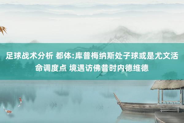 足球战术分析 都体:库普梅纳斯处子球或是尤文活命调度点 境遇访佛昔时内德维德