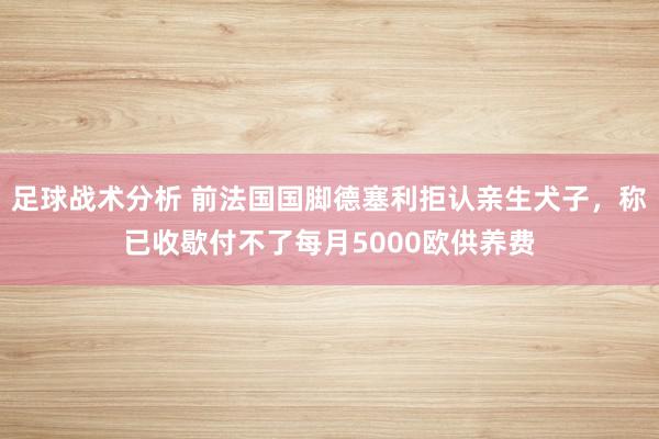 足球战术分析 前法国国脚德塞利拒认亲生犬子，称已收歇付不了每月5000欧供养费