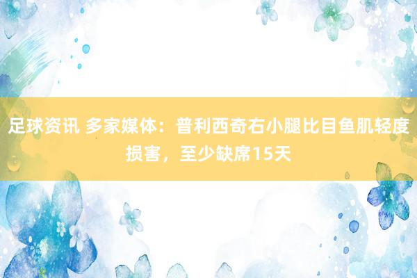 足球资讯 多家媒体：普利西奇右小腿比目鱼肌轻度损害，至少缺席15天