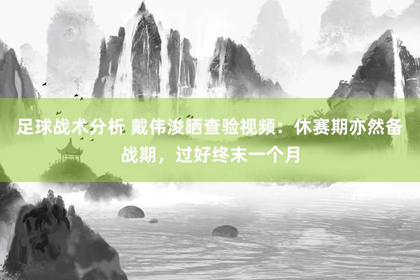 足球战术分析 戴伟浚晒查验视频：休赛期亦然备战期，过好终末一个月