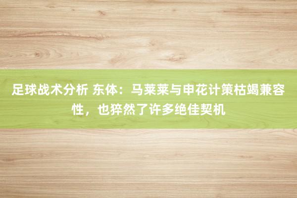 足球战术分析 东体：马莱莱与申花计策枯竭兼容性，也猝然了许多绝佳契机