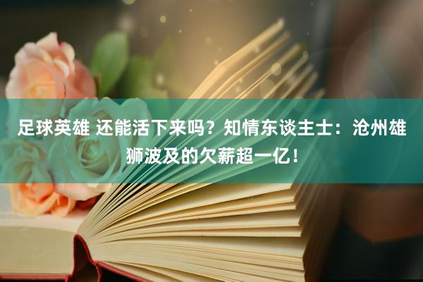 足球英雄 还能活下来吗？知情东谈主士：沧州雄狮波及的欠薪超一亿！