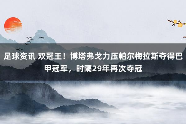 足球资讯 双冠王！博塔弗戈力压帕尔梅拉斯夺得巴甲冠军，时隔29年再次夺冠